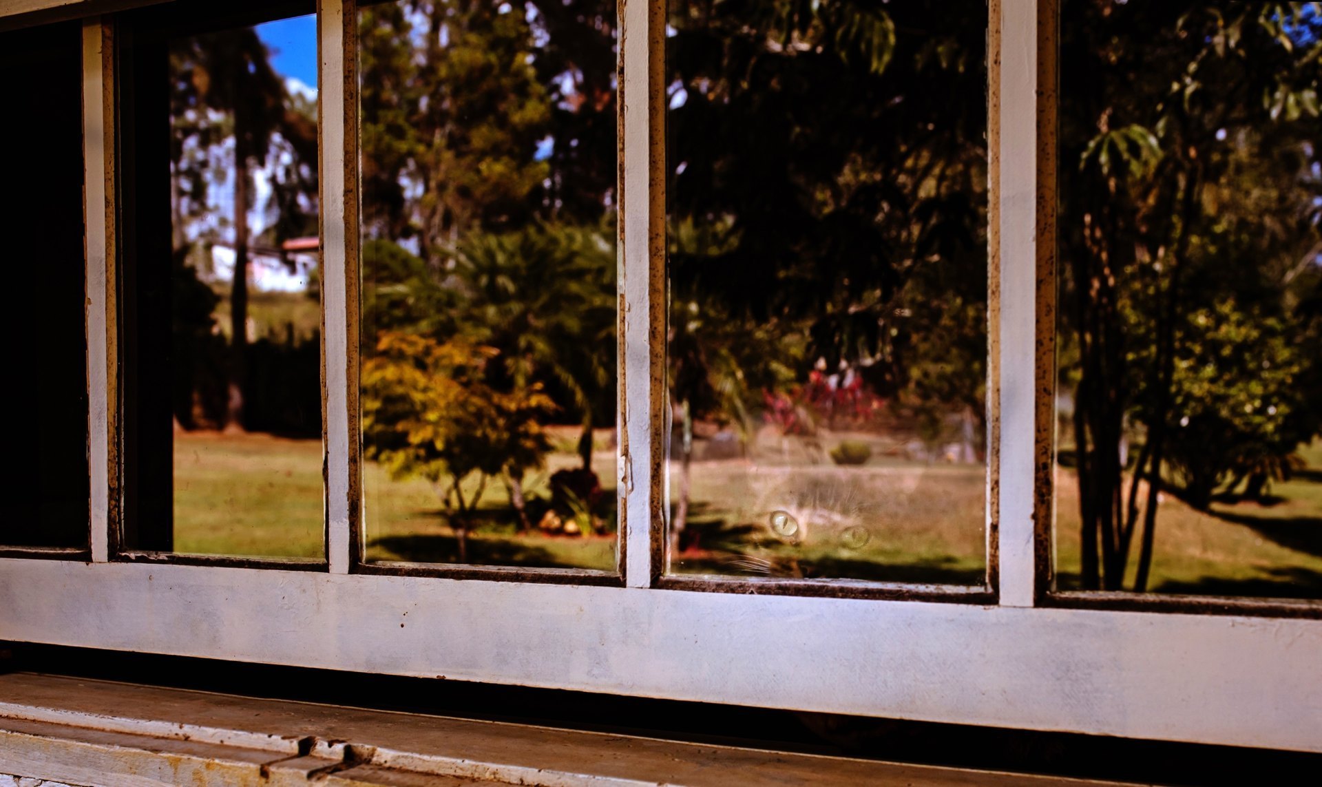 Um ensaio sobre o viver... 