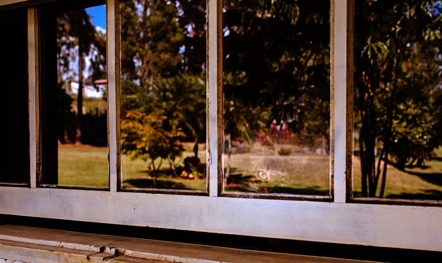 Um ensaio sobre o viver... 